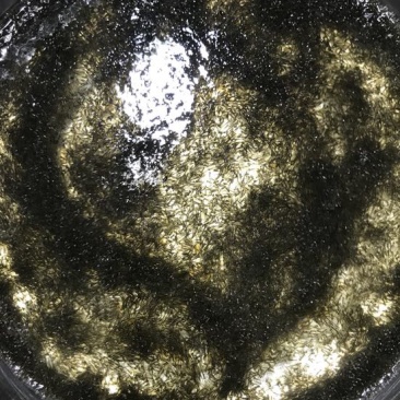 异育银鲫中科三号鲫鱼水花包质包量包安全送达