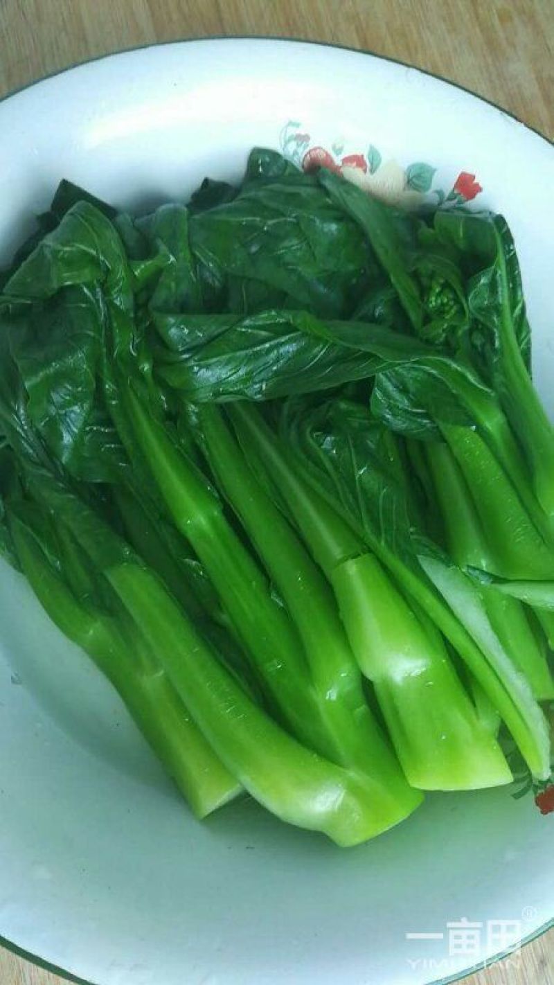 迟菜心15~20cm