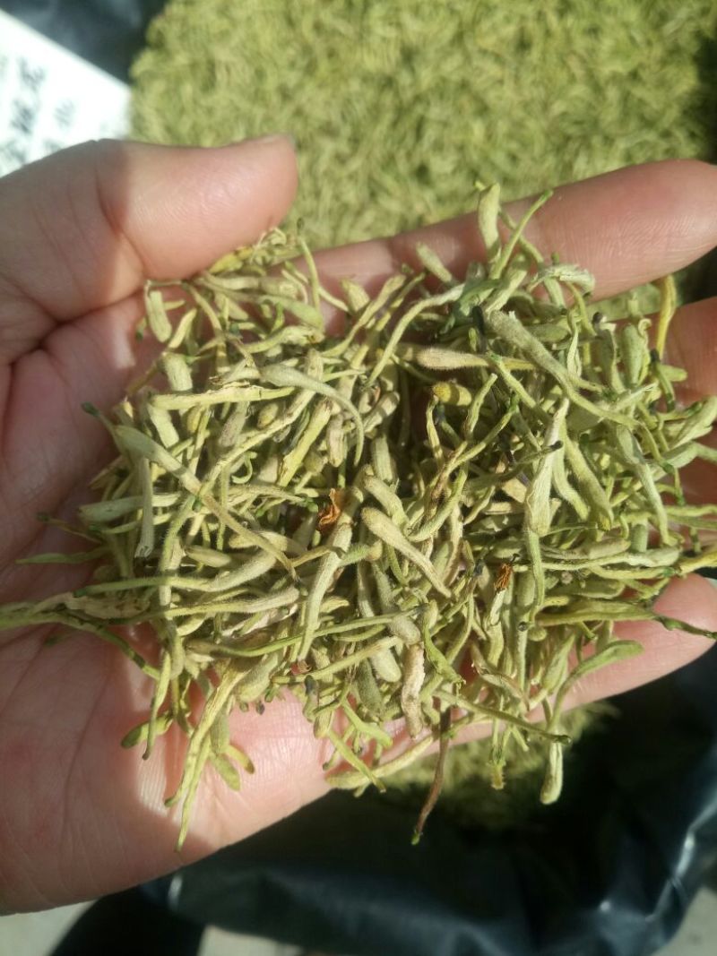 金银花河北产过筛选货无掺杂泡水2斤起包邮