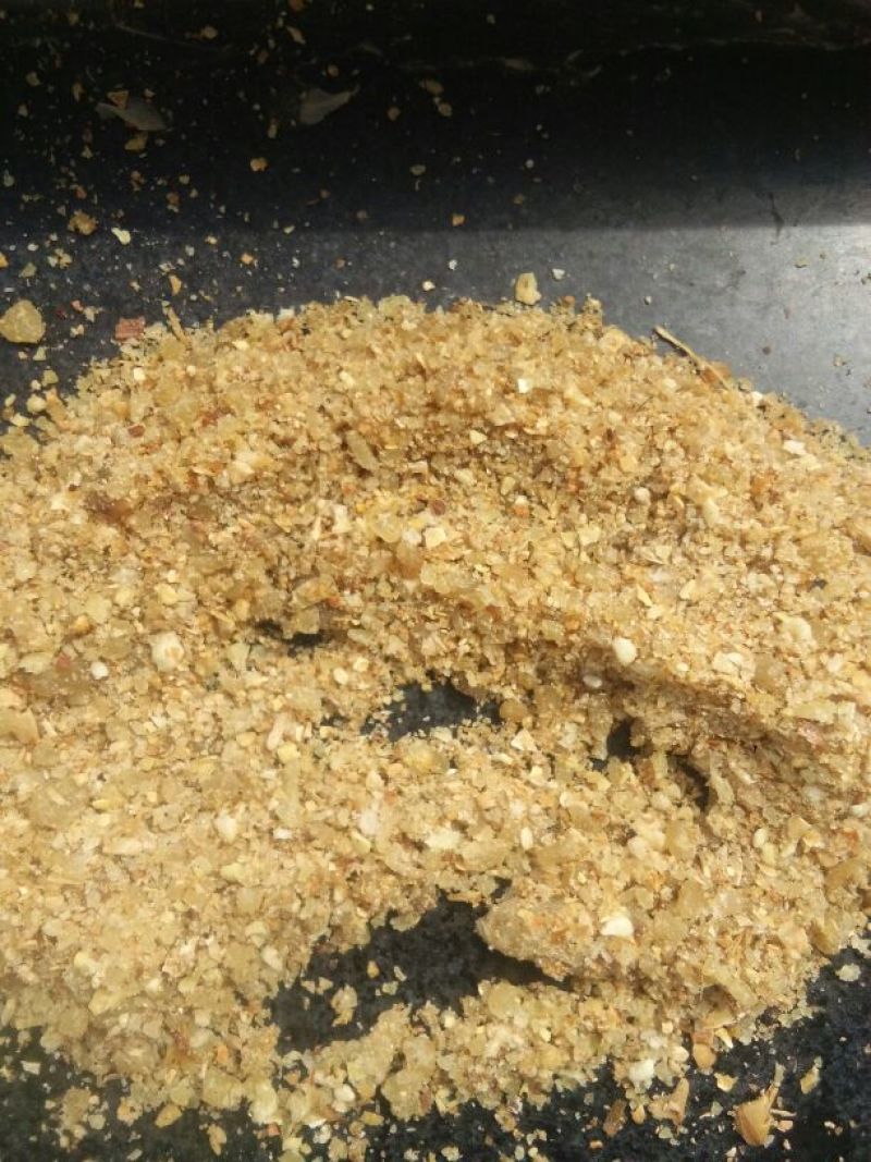 饲料3个月