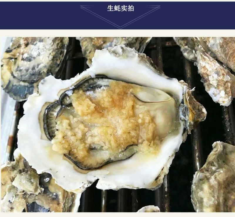 生蚝批发湛江生蚝不炸壳肉脆乳山生蚝