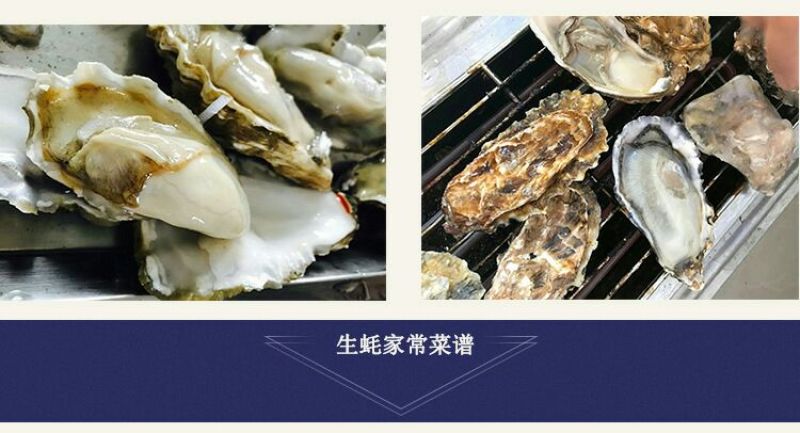生蚝