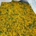 本公司常年购销各种野生菊花