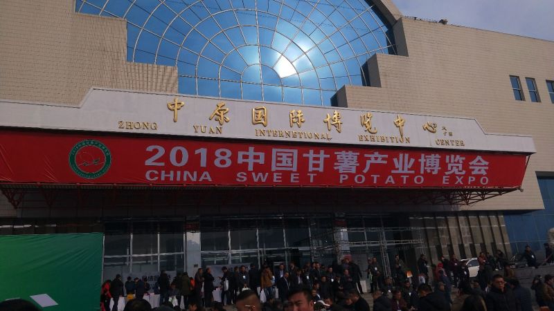 2020年脱毒薯苗已上市！