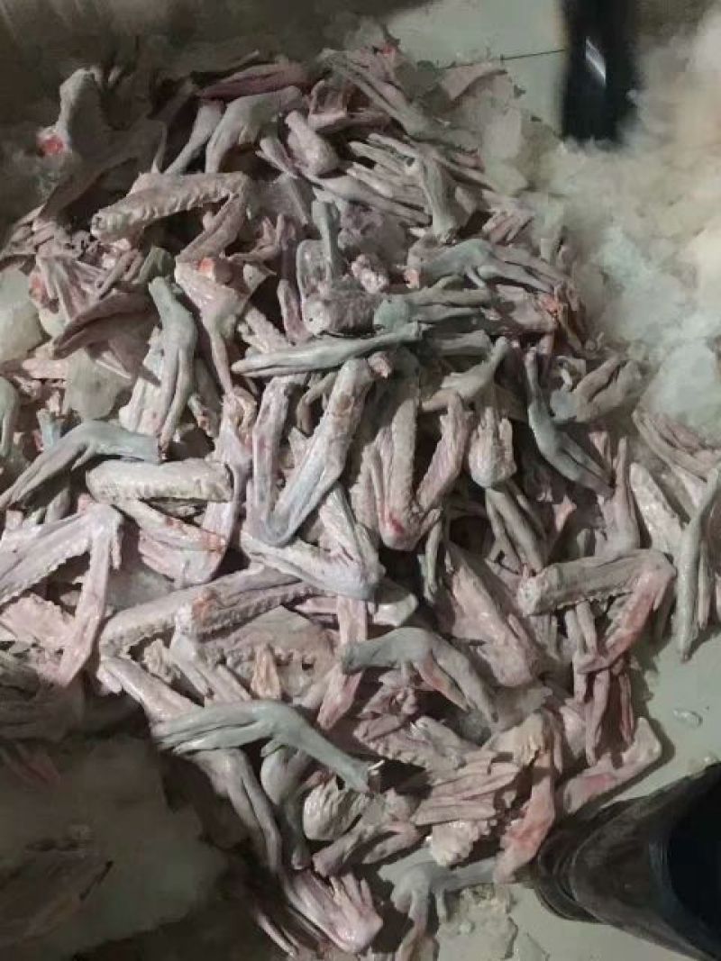 广东黑棕鹅、草鹅、朗德鹅（冰鲜鹅掌亦~两节翅）红烧、卤水