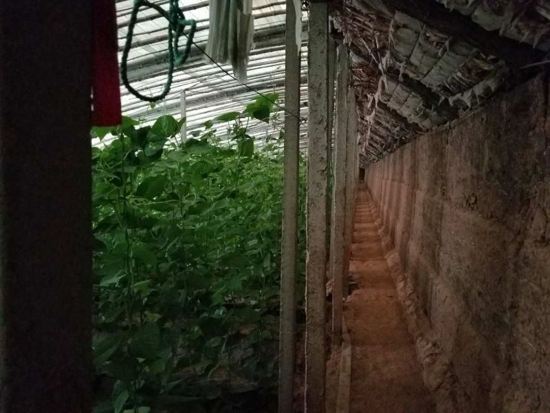 厂家低价直供新型防雨雪透光棉被保温效果好延长光照时