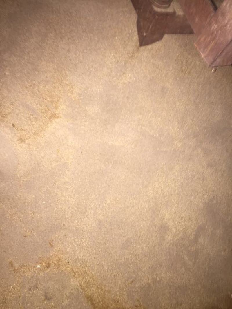 黄粉虫虫粪
