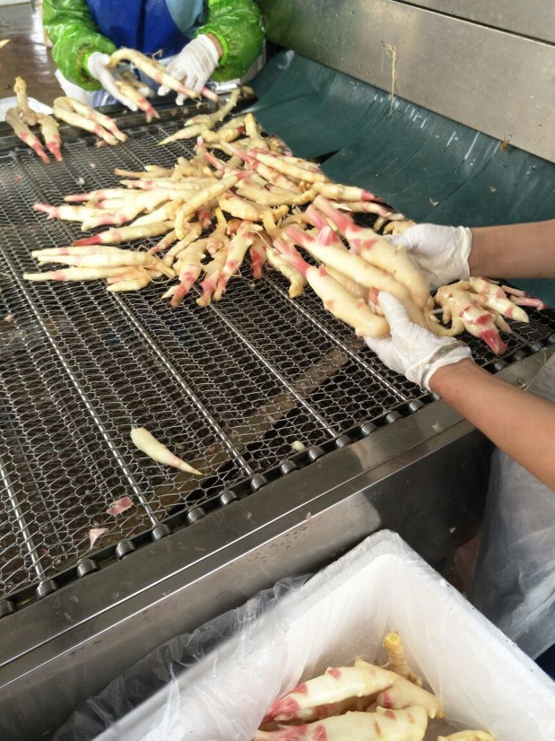 白玉香瓜0.5斤以上
