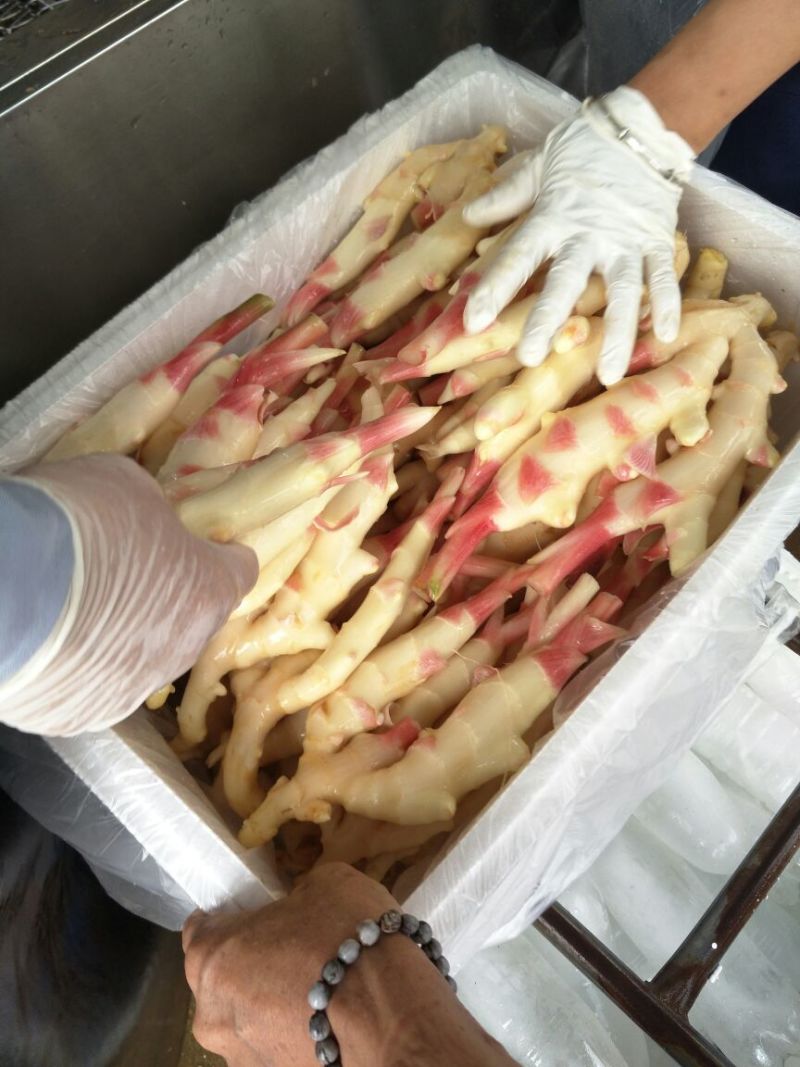 白玉香瓜0.5斤以上