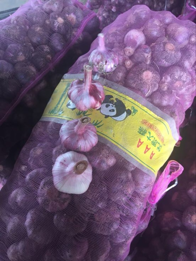 鲜蒜现大量上市，质量好价格实惠随到随装。