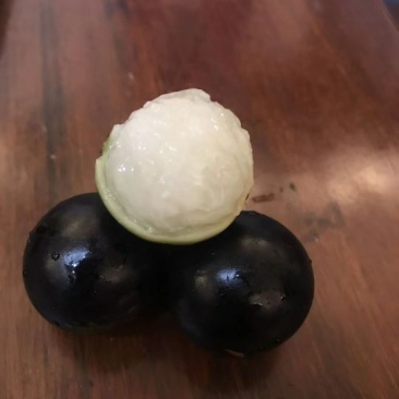 嘉宝果10~12g