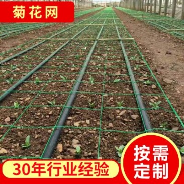 渔网菊花网大葱防倒网爬藤网拉网网箱厂价直供
