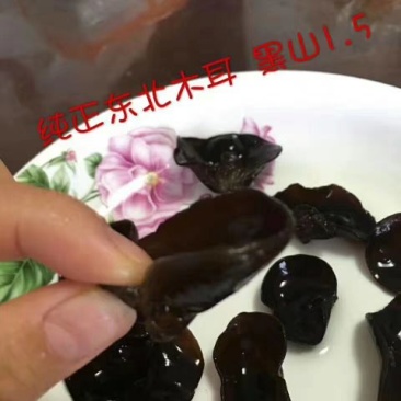 黑山秋耳特级