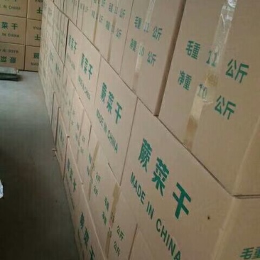 蕨菜蕨菜干龙爪菜山野菜