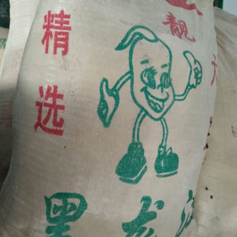 豆粉