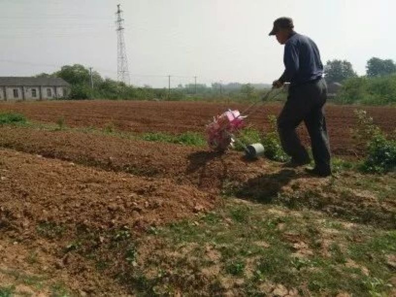 播种机自动补籽播种器种肥同步播种机精播玉米大豆花生