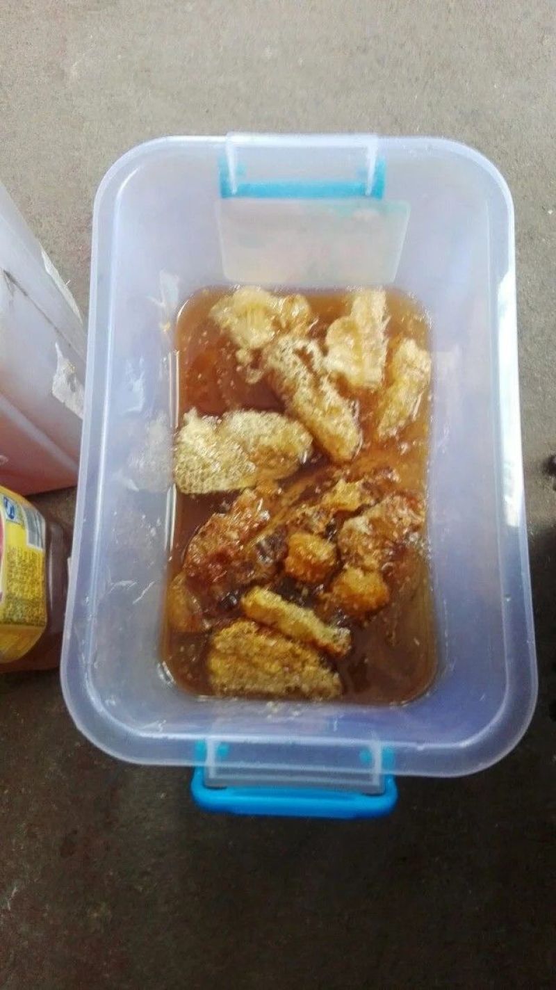 土蜂蜜山里人的土蜂蜜
