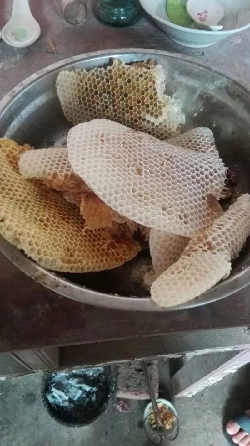 土蜂蜜山里人的土蜂蜜