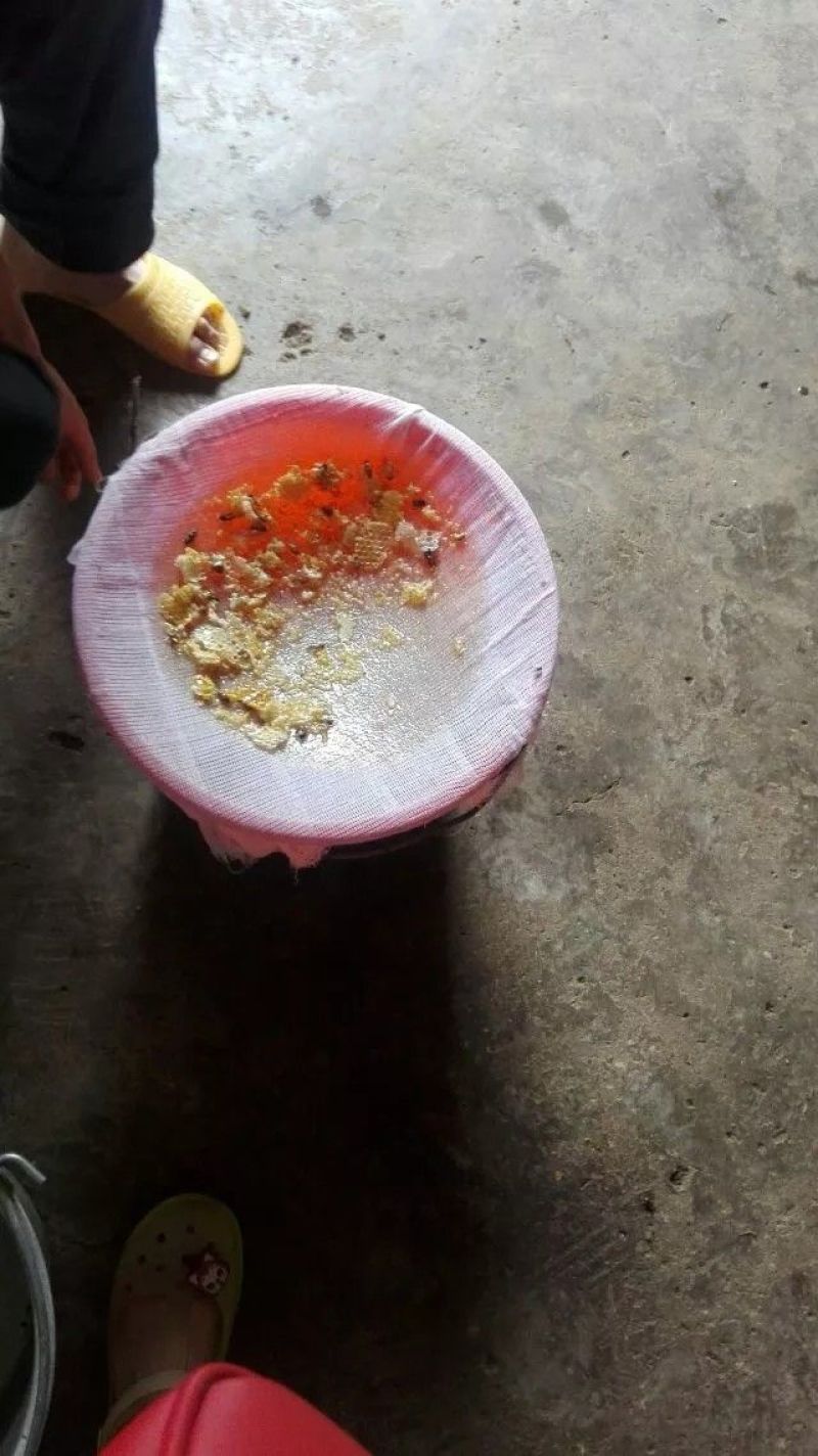 土蜂蜜山里人的土蜂蜜