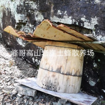湖南湘西高山岩崖野百花土蜂蜜