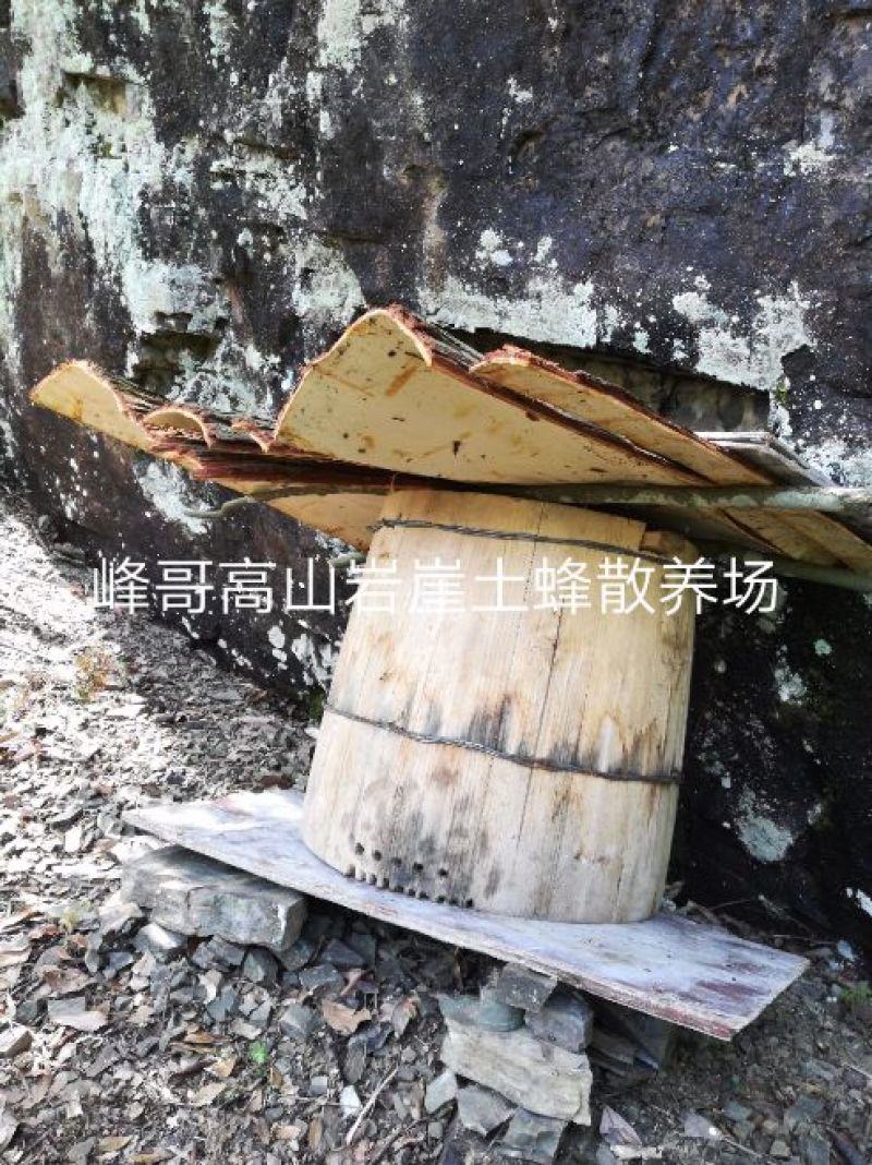 湖南湘西高山岩崖野百花土蜂蜜
