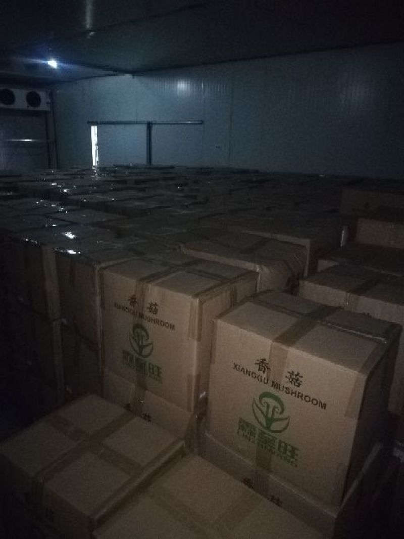 光面菇畸形菇和薄片菇，大量现货全国供应