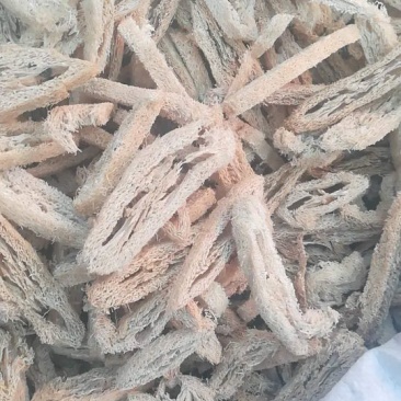 丝瓜络浙江1公斤起批选货无硫***不包邮正品