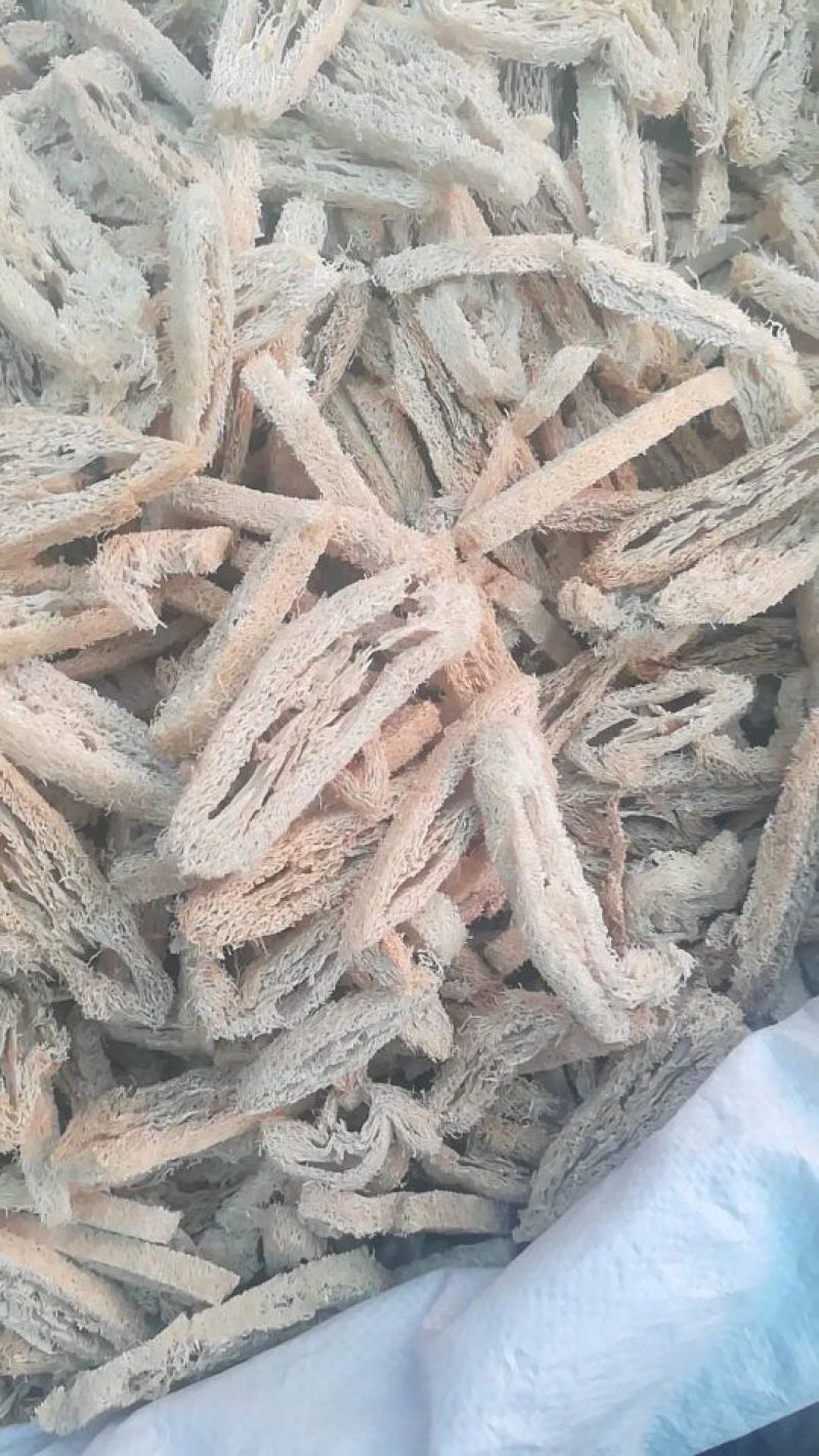 丝瓜络浙江1公斤起批选货无硫***不包邮正品