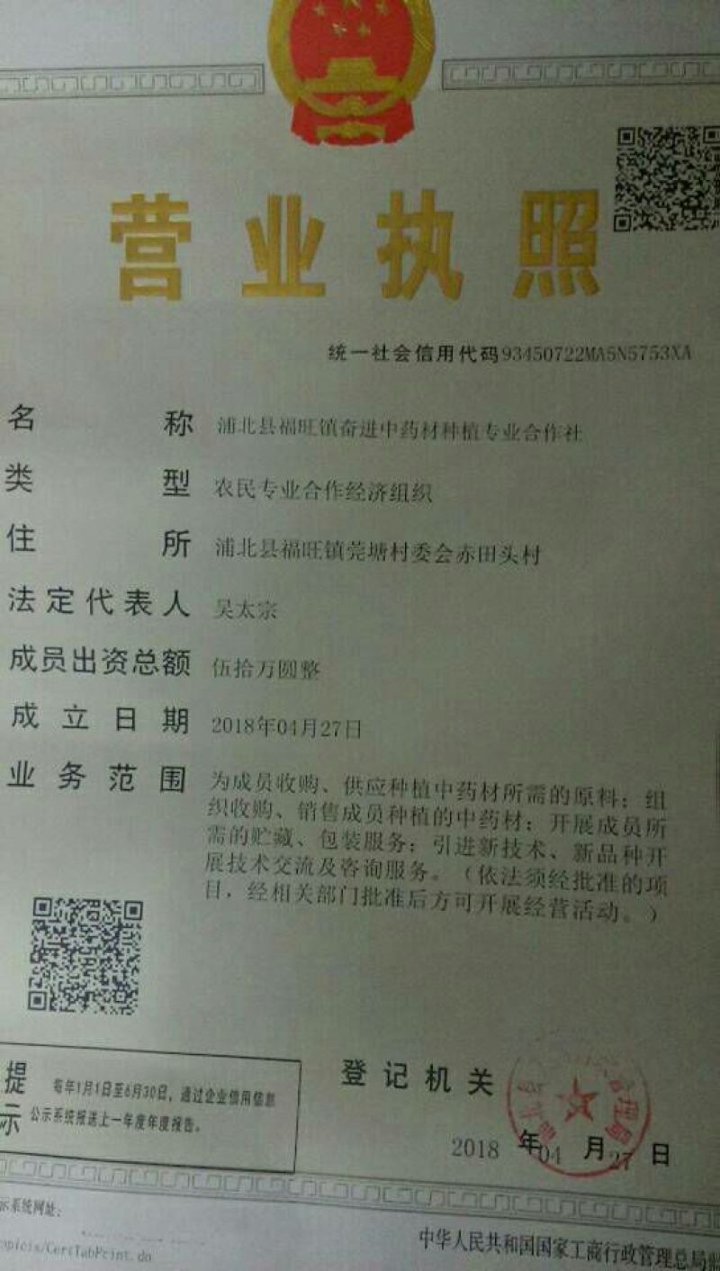 金钱草