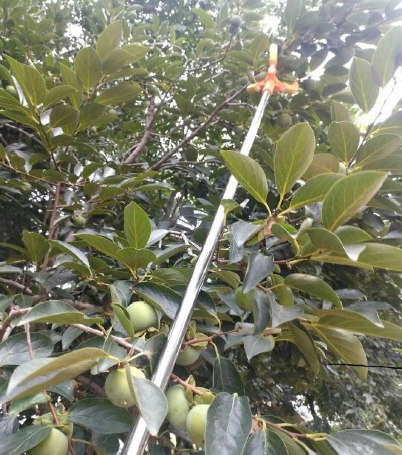 摘果机
