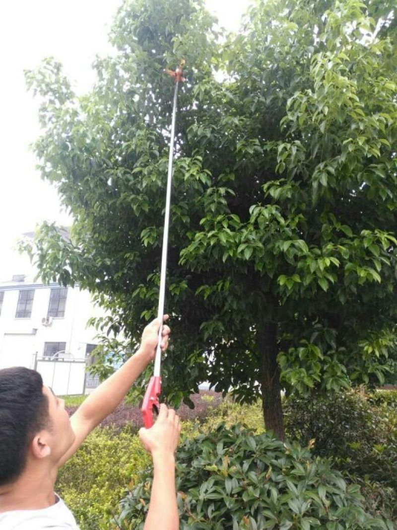 摘果机