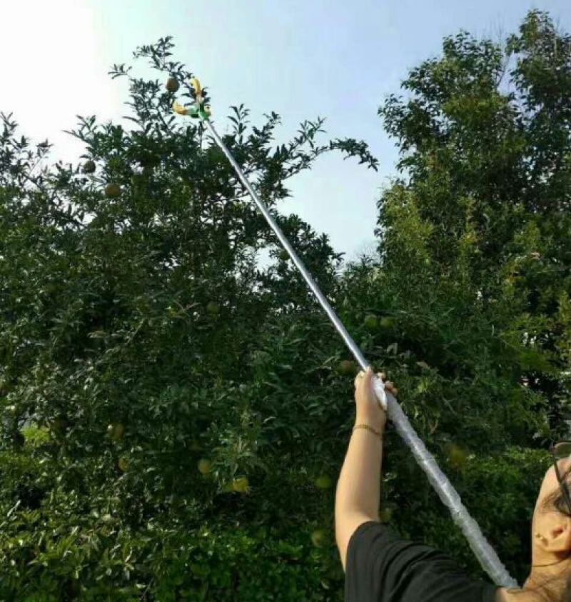 摘果机
