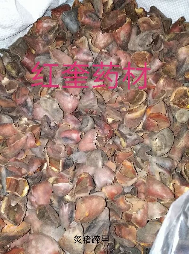 炒猪蹄甲猪甲猪蹄甲猪退统货货好量大不满意保退换