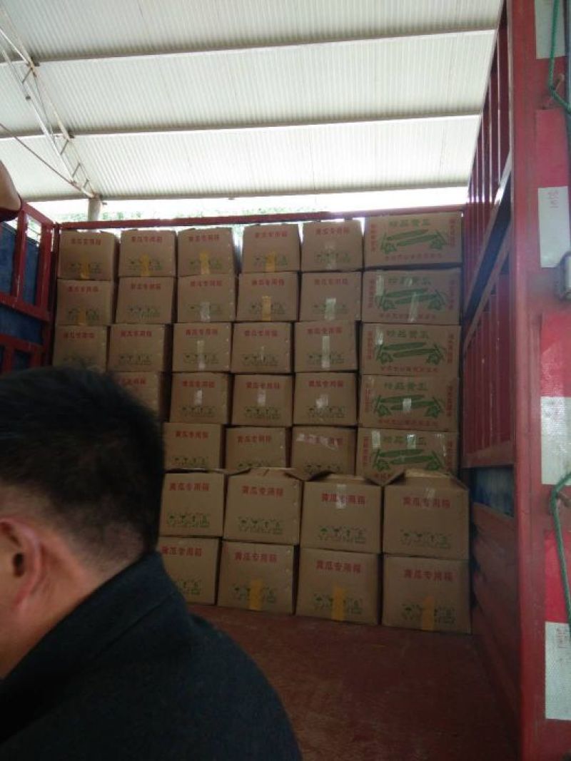 安阳密刺黄瓜干花带刺22~25公分，量大从优欢迎来电