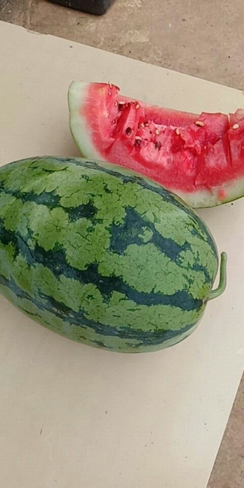 绿裳西瓜6斤打底8成熟1茬