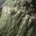 贡菜干贡菜云南贡菜笋干自产自销日产现货两百公斤