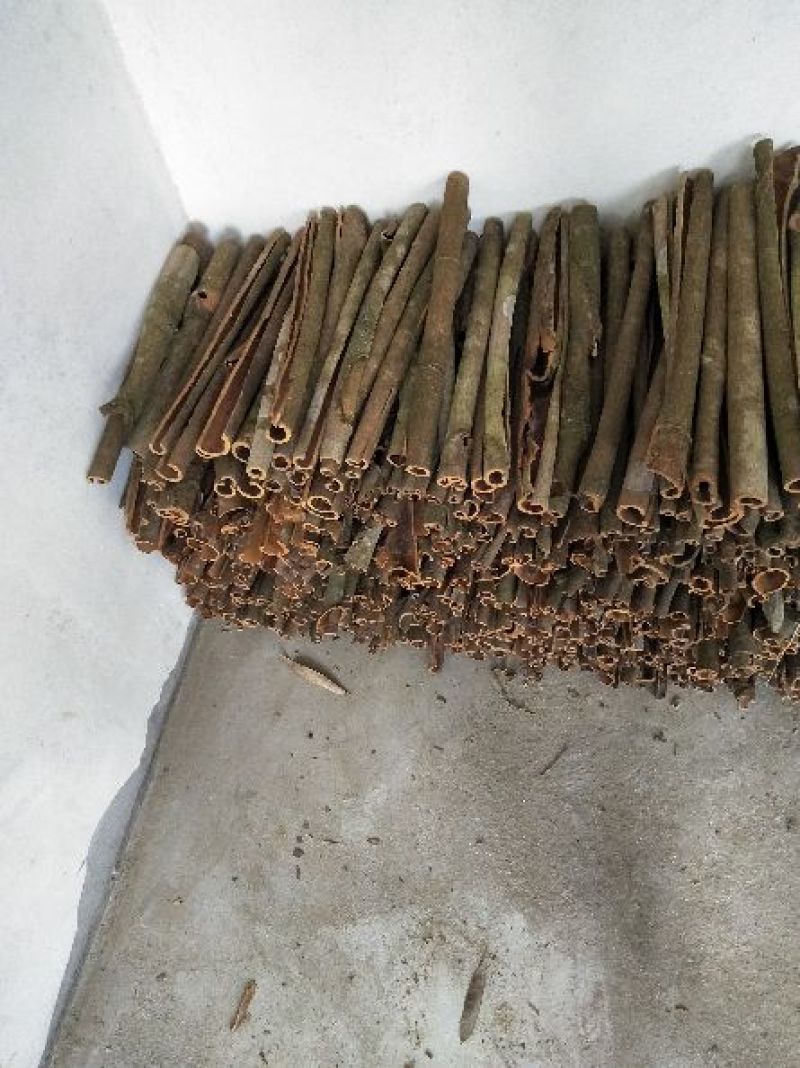 桂皮散装统货