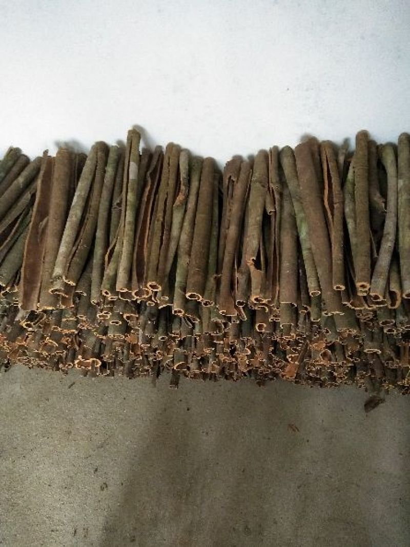 桂皮散装统货