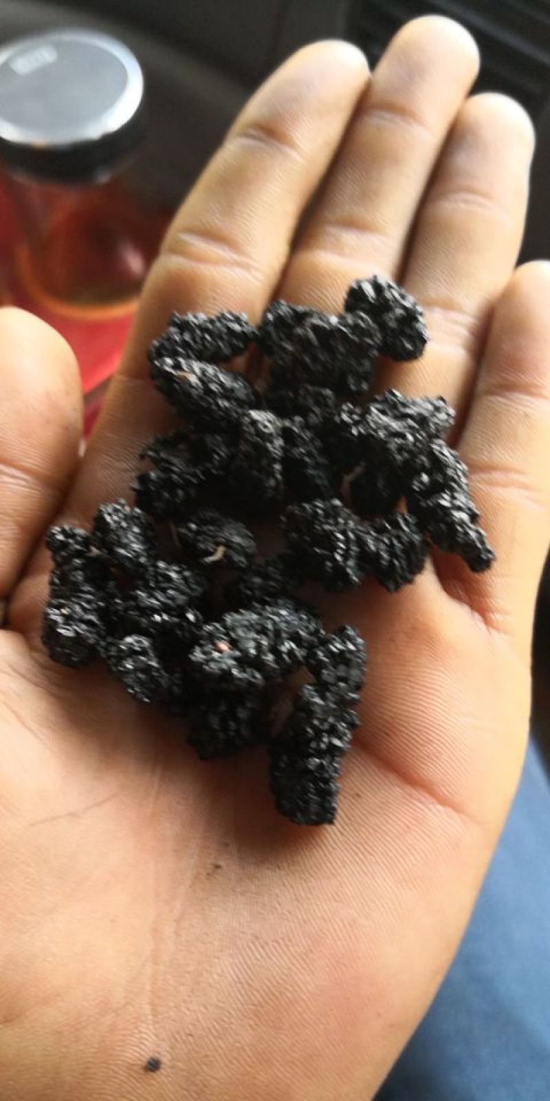 精品烘干食用桑葚干