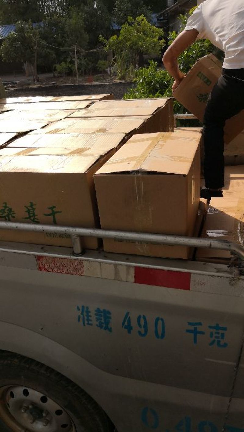 精品烘干食用桑葚干