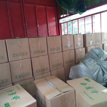 精品烘干食用桑葚干
