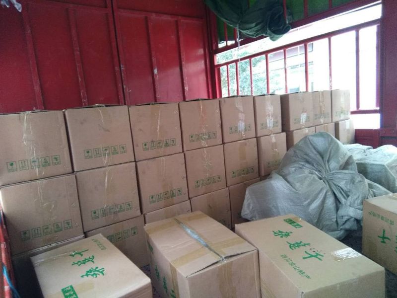 精品烘干食用桑葚干
