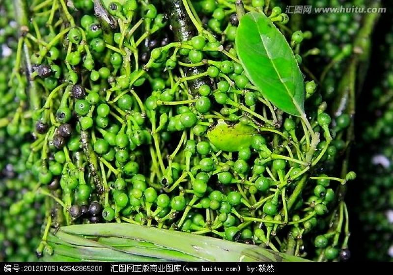 山胡椒果鲜货