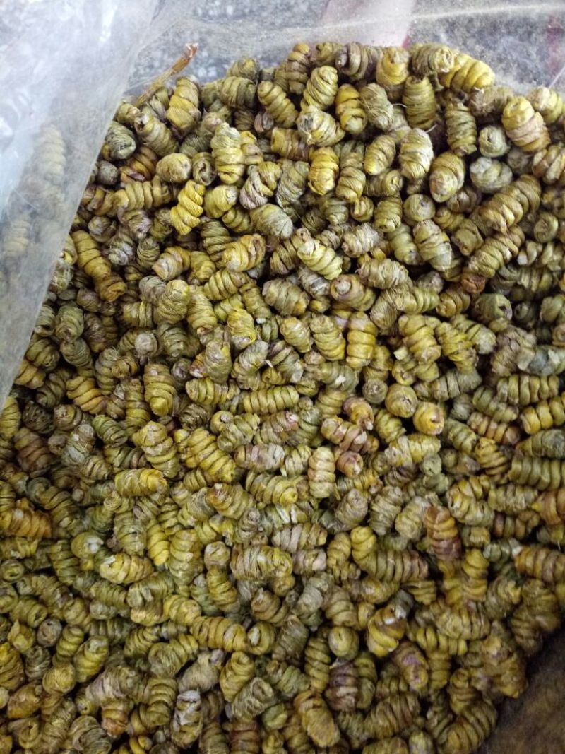 铁皮石斛浙江干货胶质好1斤起包邮