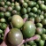 百香果黄果60~70g