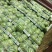 西瓜精品西瓜种植基地量大从优支持视频看货不熟包退