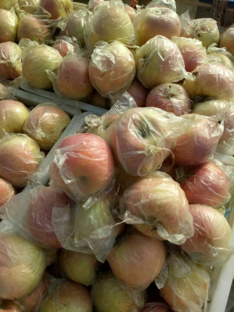 大量供应苹果口感脆甜果面干净色泽鲜艳一手货源