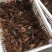 龙虾16~20只/kg