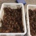 龙虾16~20只/kg