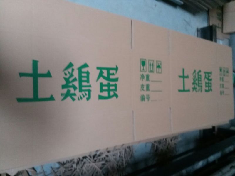 处理鸡蛋箱